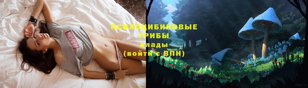 кокаин колумбия Михайлов