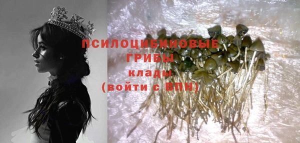 дживик Медвежьегорск