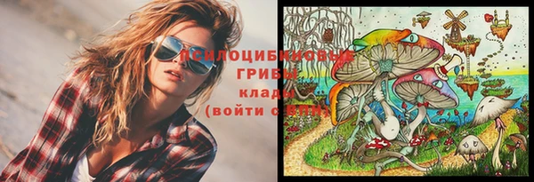 бутират Михайловка